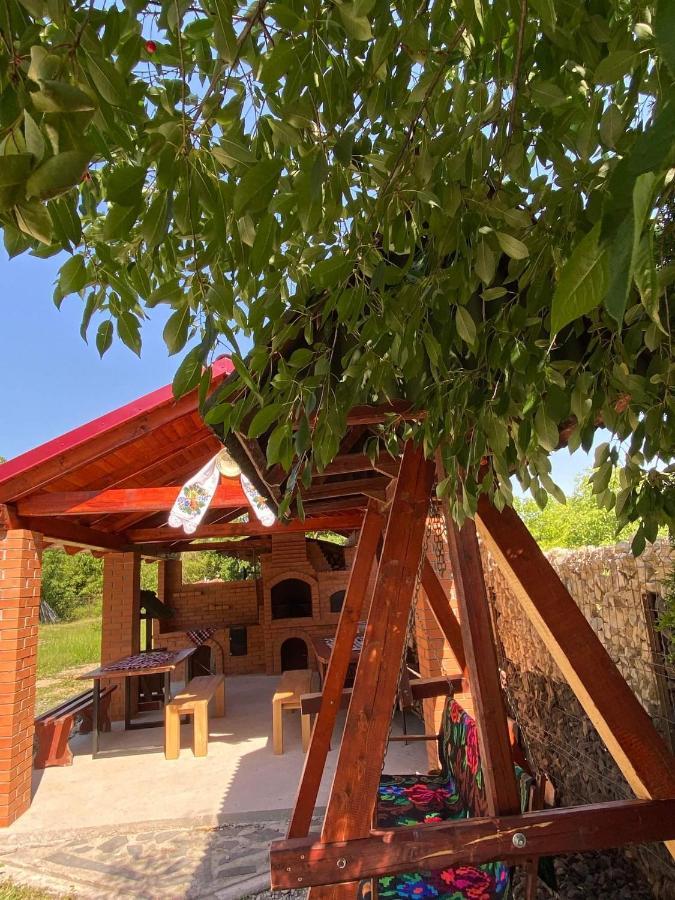 Pensiunea Montana Săpînţa Extérieur photo