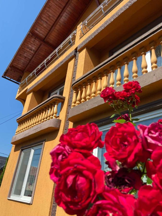 Pensiunea Montana Săpînţa Extérieur photo