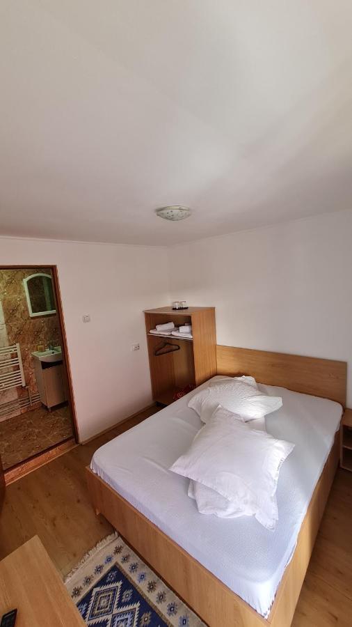 Pensiunea Montana Săpînţa Extérieur photo